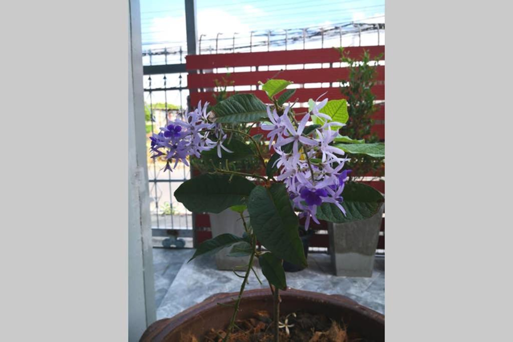 Bluebell House Hatyai - Cosy 3 Bedrooms For 10 Pax - 9 Mins Drive To Lee Grd Ban Kho Hong Екстер'єр фото